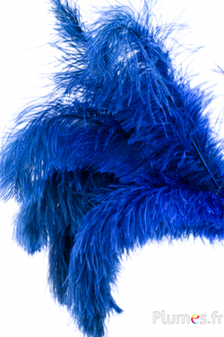 Autruche - 30-40 cm - gris naturel-bleu